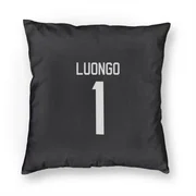 Black Florida Panthers  Roberto Luongo  Pillow Cover (18 X 18)
